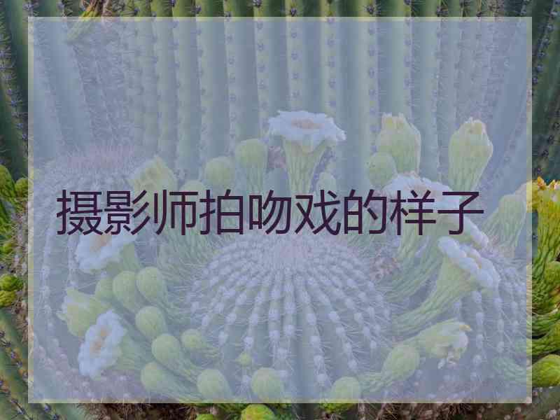 摄影师拍吻戏的样子