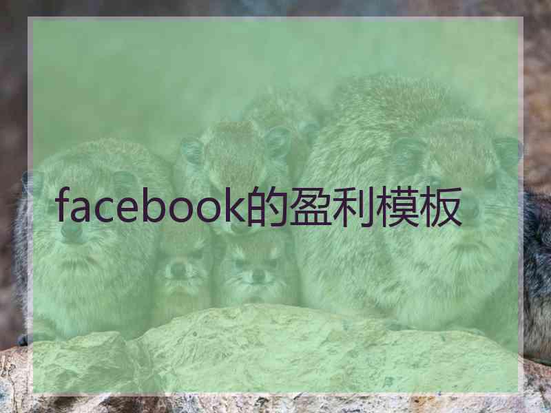 facebook的盈利模板