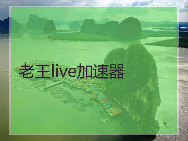 老王live加速器