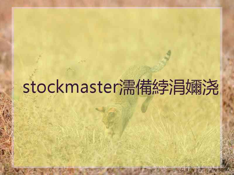 stockmaster濡備綍涓嬭浇