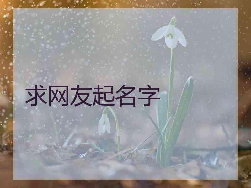 求网友起名字