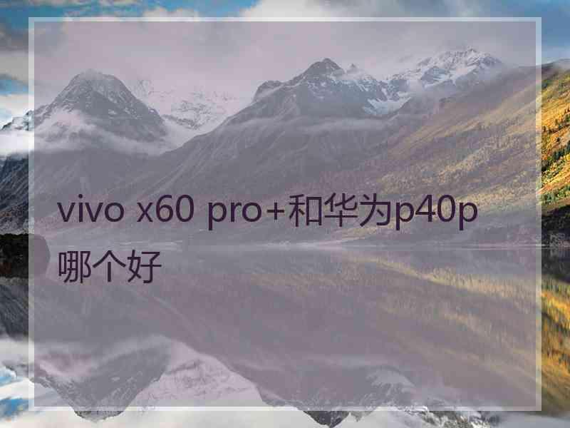 vivo x60 pro+和华为p40p哪个好