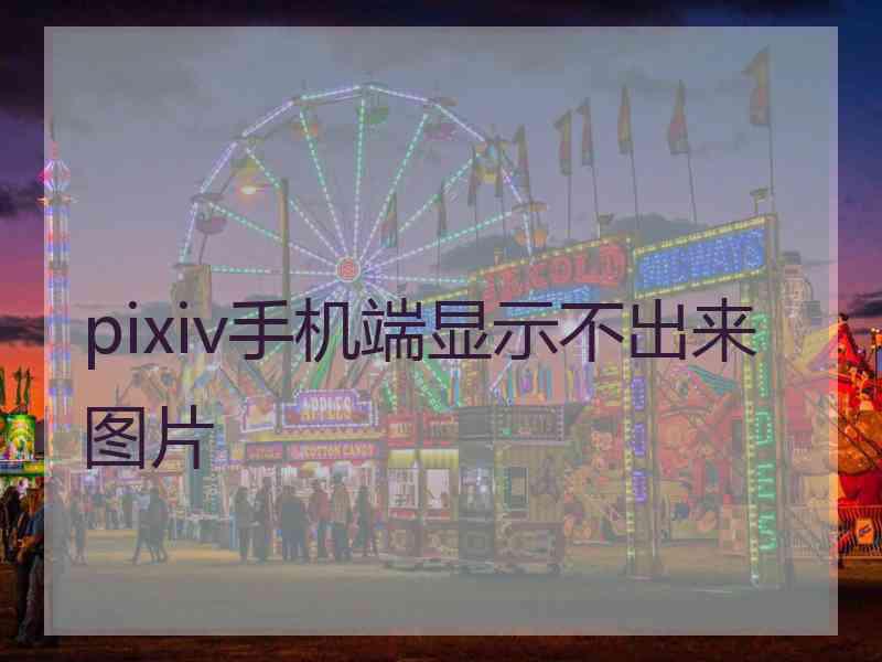 pixiv手机端显示不出来图片