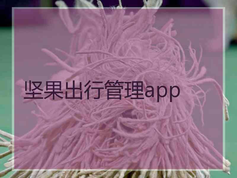 坚果出行管理app