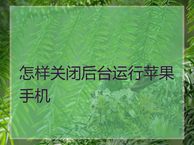 怎样关闭后台运行苹果手机