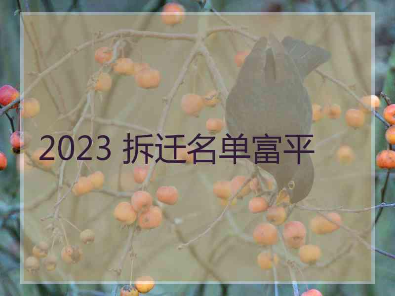 2023 拆迁名单富平