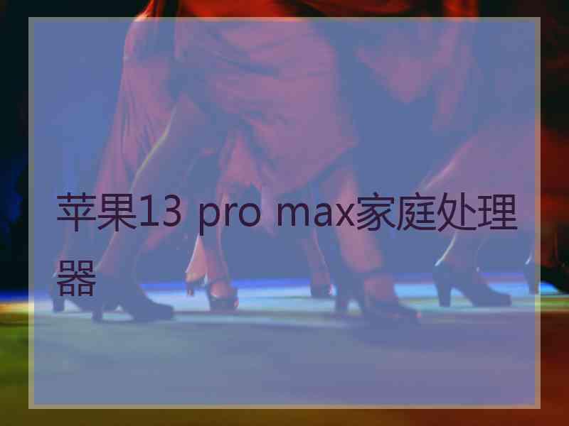 苹果13 pro max家庭处理器