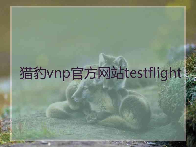 猎豹vnp官方网站testflight