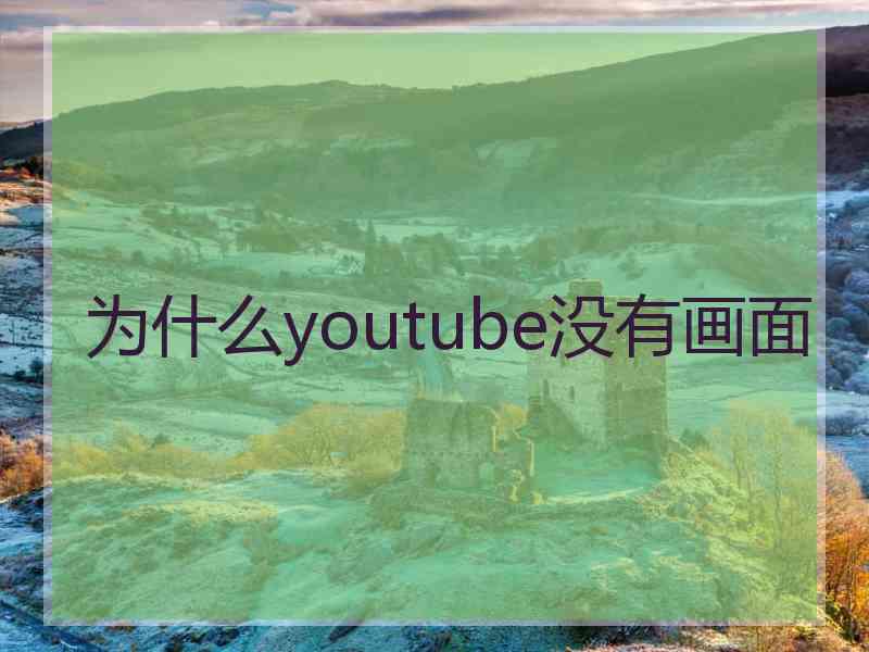 为什么youtube没有画面