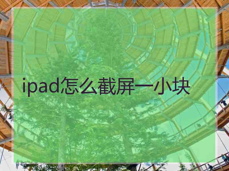 ipad怎么截屏一小块