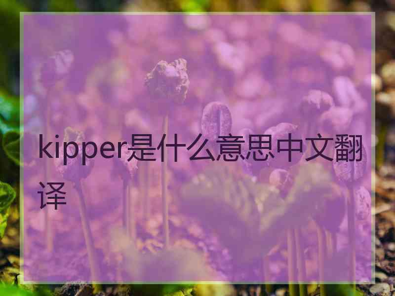 kipper是什么意思中文翻译