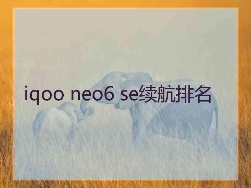 iqoo neo6 se续航排名