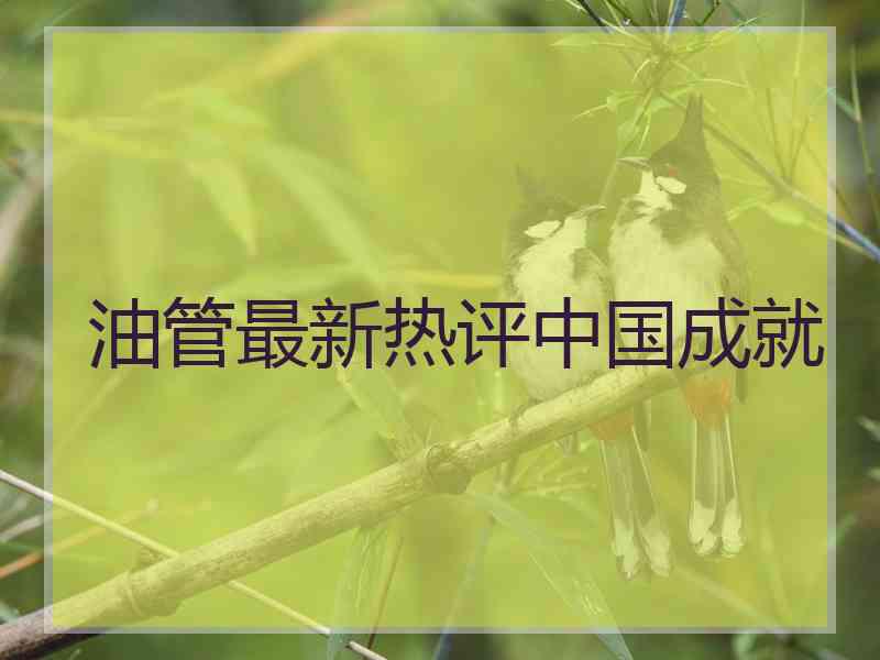 油管最新热评中国成就