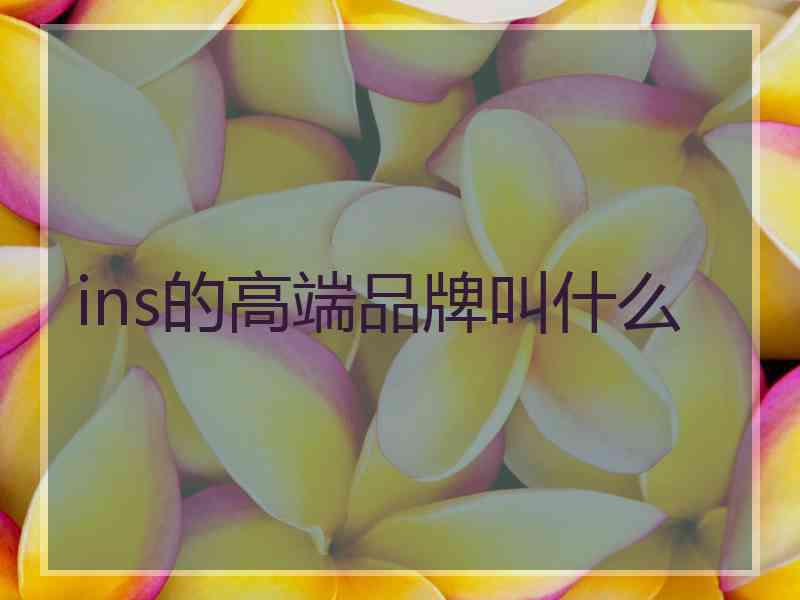 ins的高端品牌叫什么