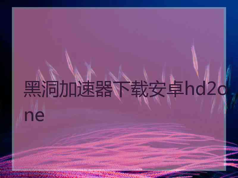 黑洞加速器下载安卓hd2one