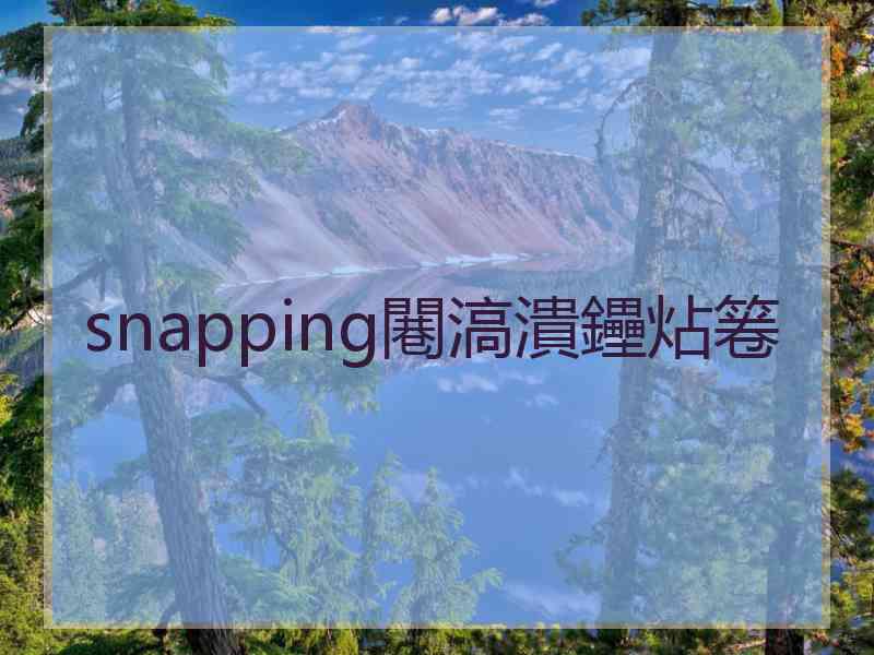 snapping闀滈潰鑸炶箞