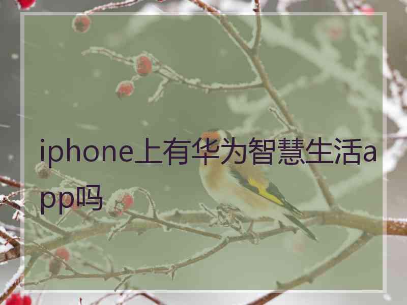 iphone上有华为智慧生活app吗