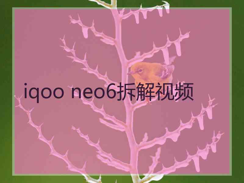 iqoo neo6拆解视频