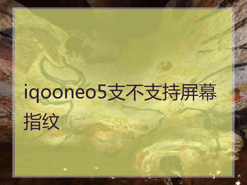 iqooneo5支不支持屏幕指纹