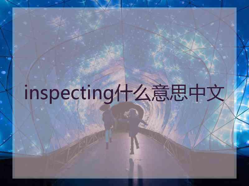 inspecting什么意思中文