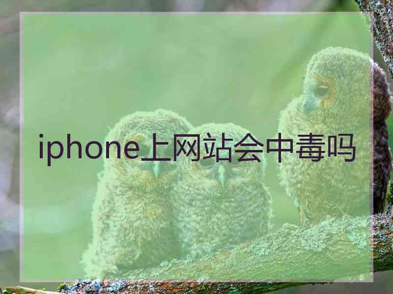 iphone上网站会中毒吗