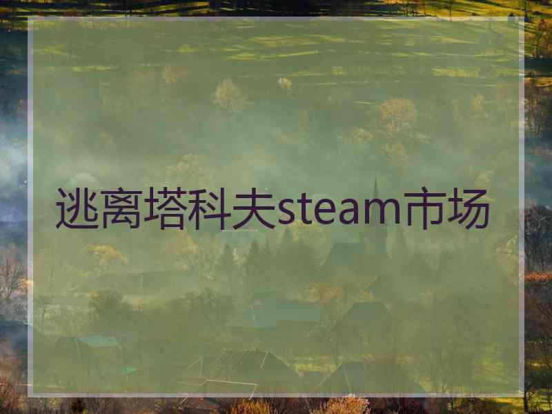 逃离塔科夫steam市场