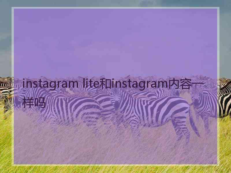 instagram lite和instagram内容一样吗