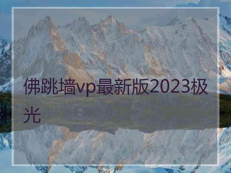 佛跳墙vp最新版2023极光