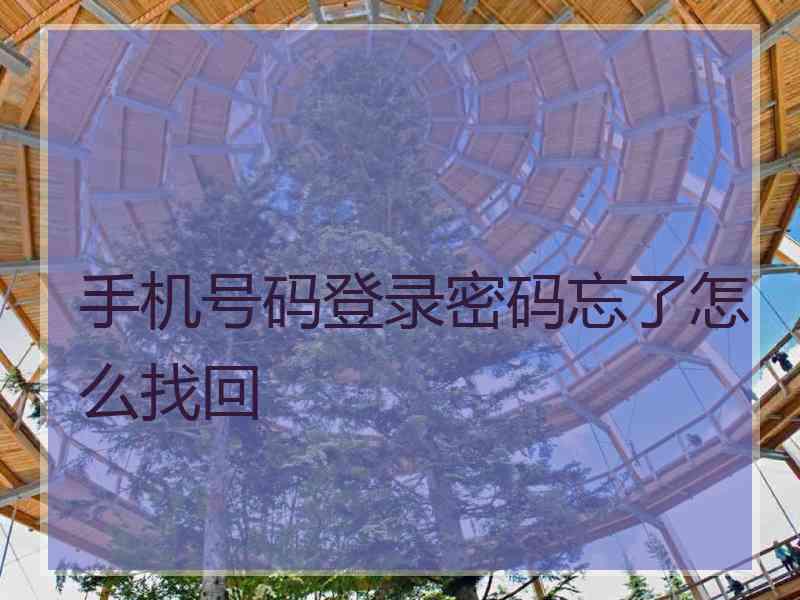 手机号码登录密码忘了怎么找回