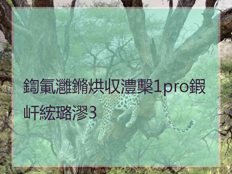 鍧氭灉鏅烘収澧檕1pro鍜屽綋璐漻3