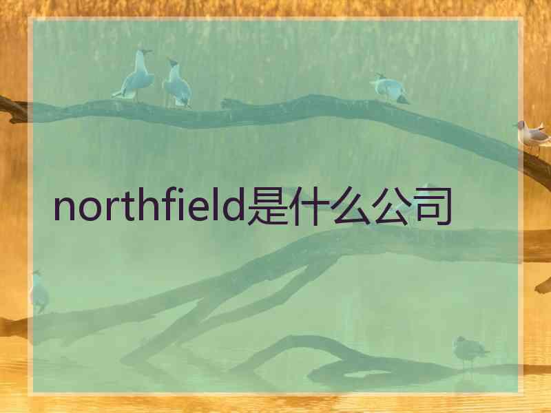 northfield是什么公司