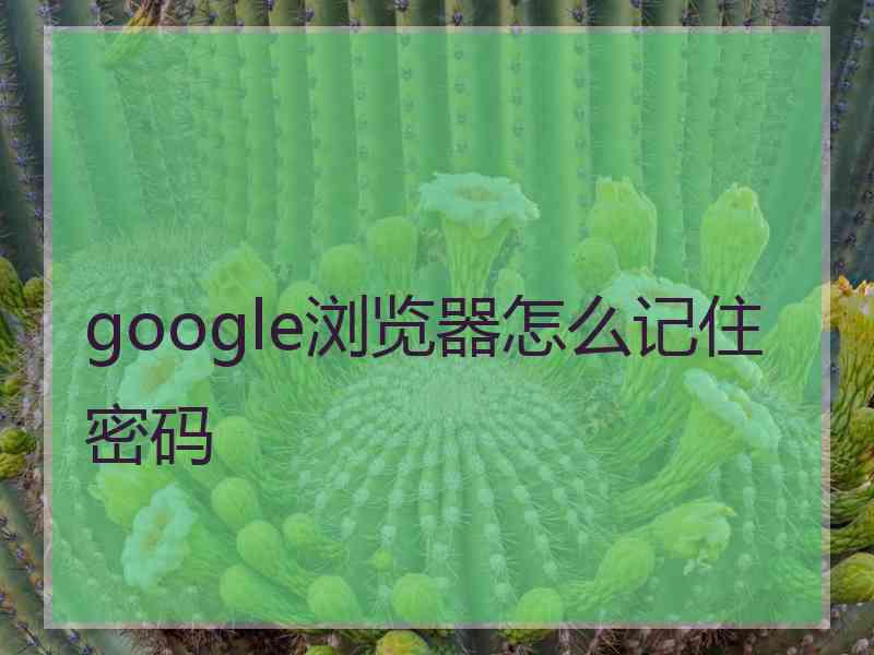 google浏览器怎么记住密码