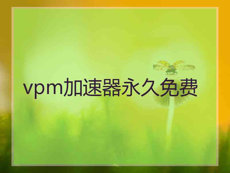 vpm加速器永久免费