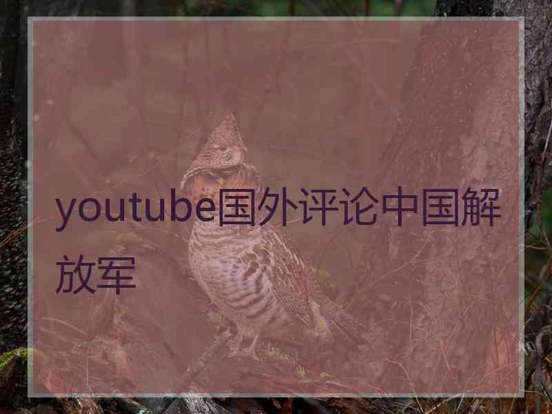 youtube国外评论中国解放军