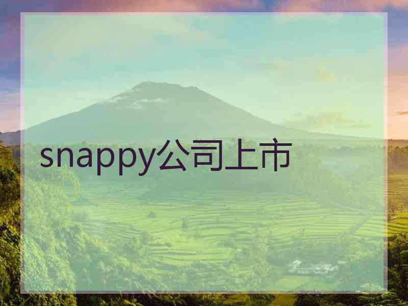 snappy公司上市