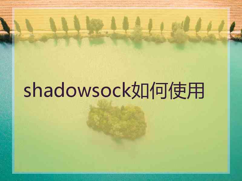 shadowsock如何使用