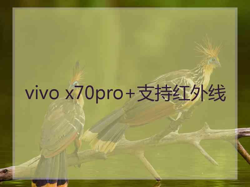 vivo x70pro+支持红外线