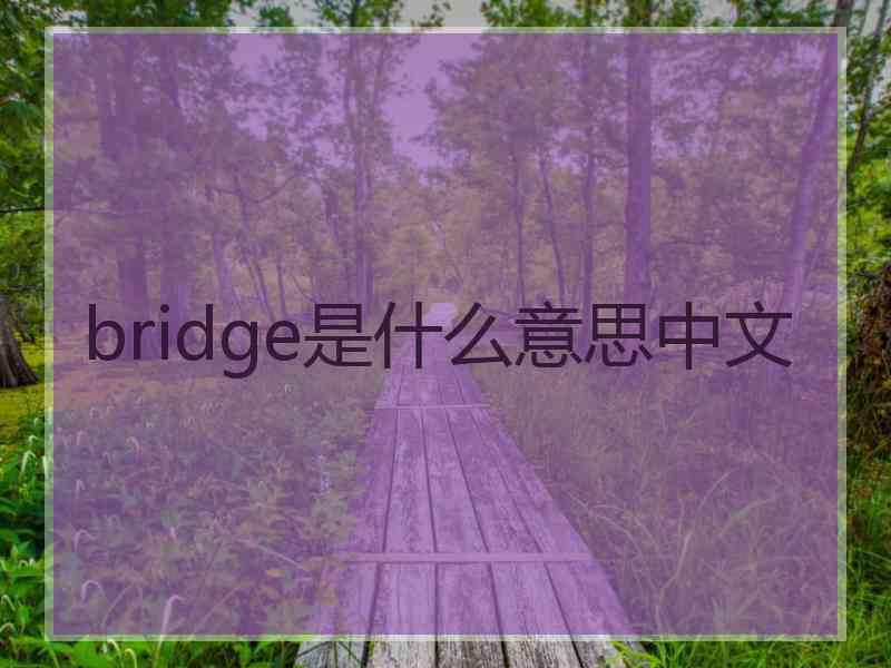 bridge是什么意思中文