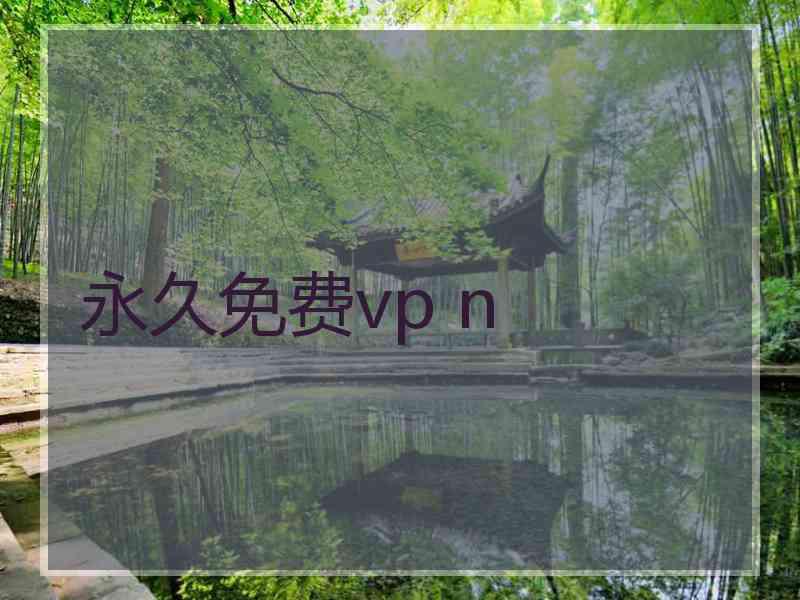 永久免费vp n