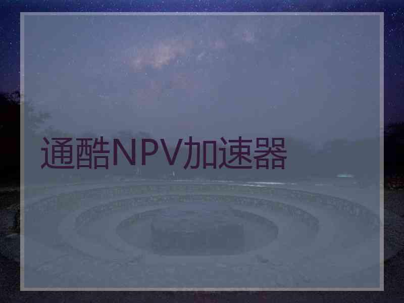 通酷NPV加速器