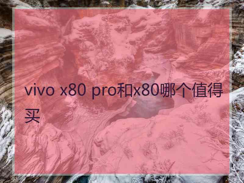 vivo x80 pro和x80哪个值得买