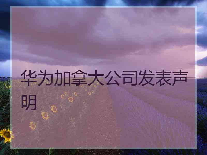 华为加拿大公司发表声明