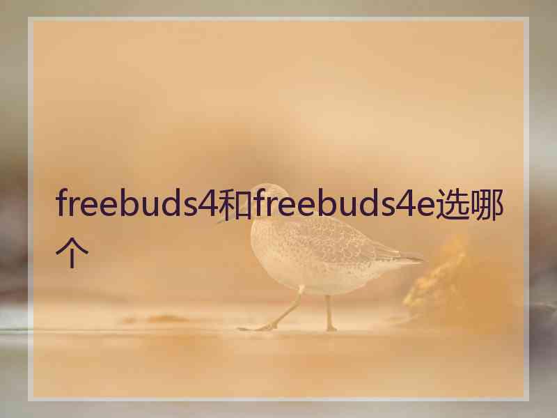 freebuds4和freebuds4e选哪个