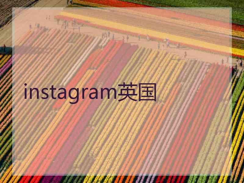 instagram英国