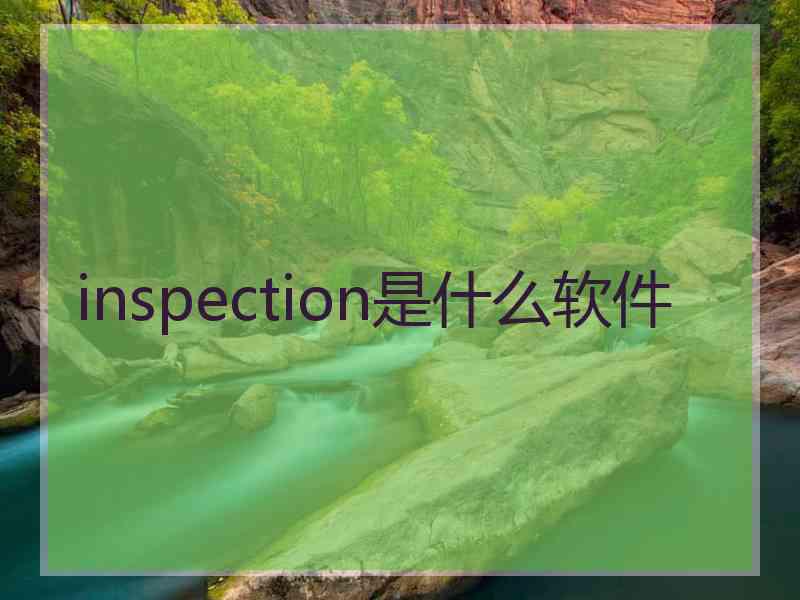 inspection是什么软件