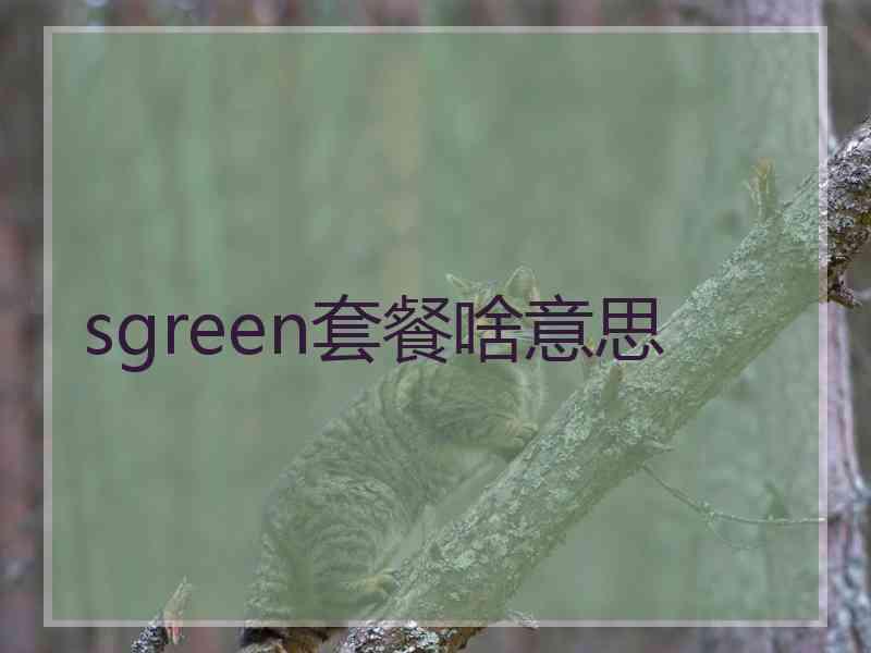 sgreen套餐啥意思