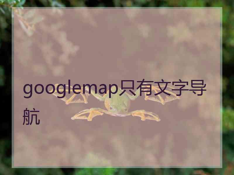 googlemap只有文字导航