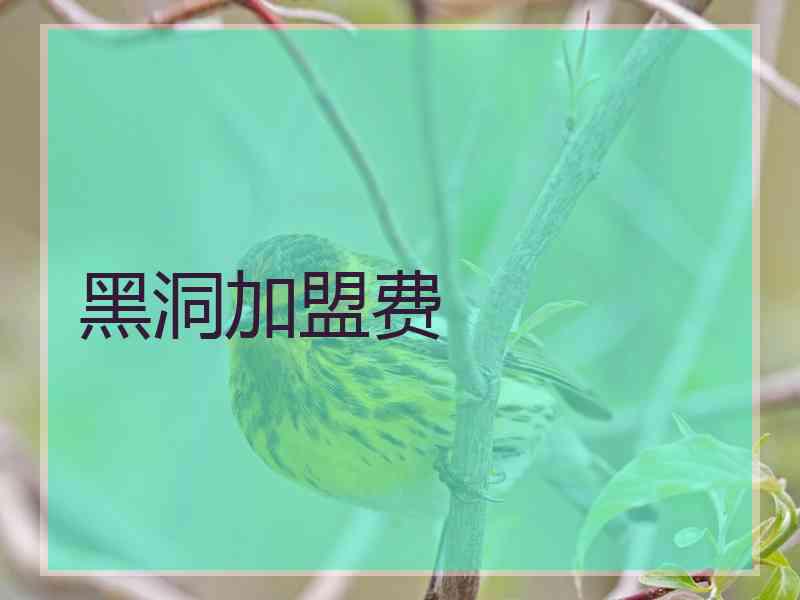 黑洞加盟费