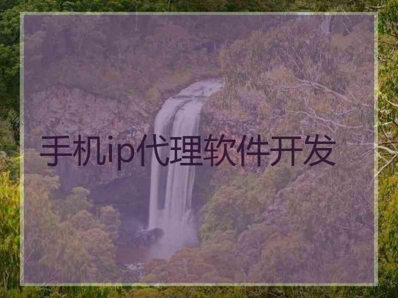 手机ip代理软件开发