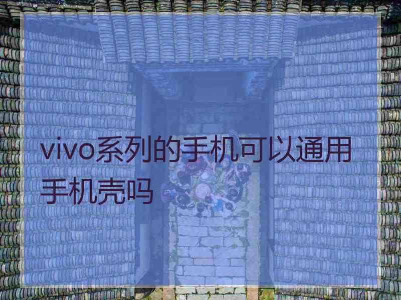 vivo系列的手机可以通用手机壳吗